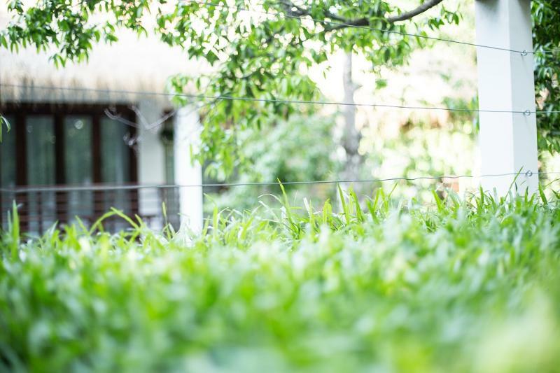 Rokkhak River Resort Siem Reap Buitenkant foto