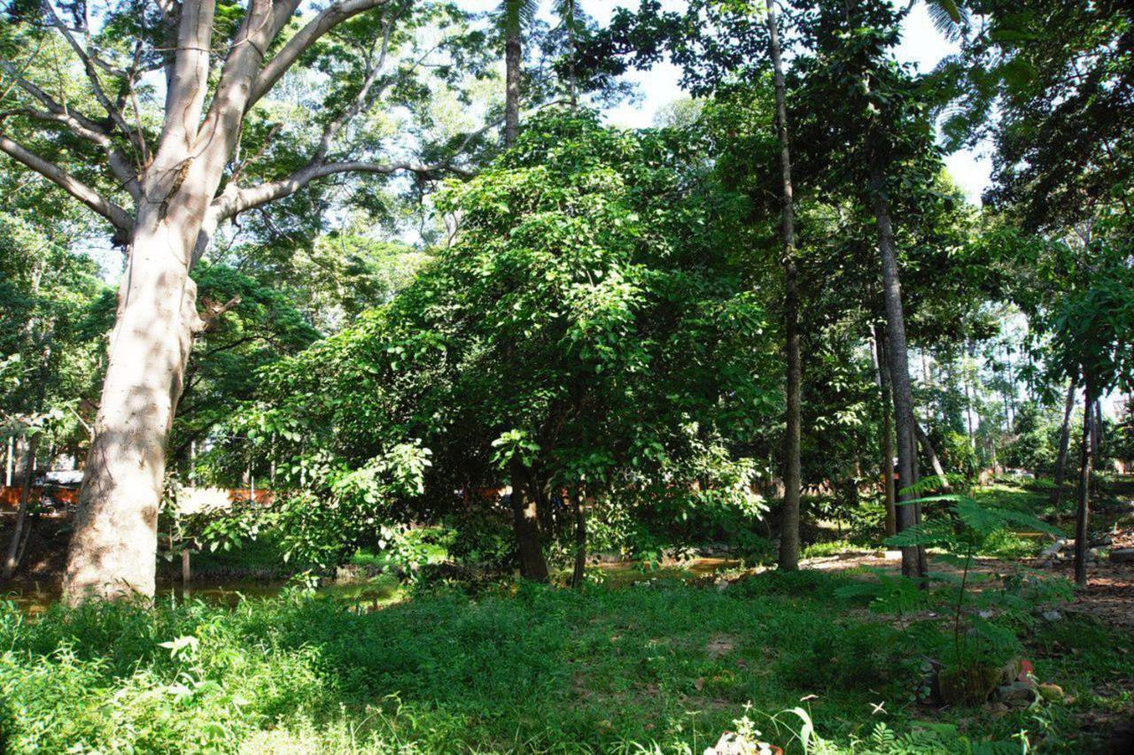 Rokkhak River Resort Siem Reap Buitenkant foto